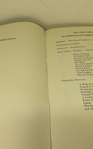 The Least Thing: An Anthology of Christians’ Writing (The Greenbelt Files)