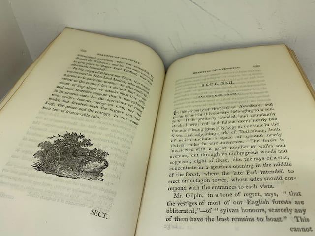 The Beauties of Wiltshire interspersed with Anecdotes of the Arts (vols I&II) - Image 16