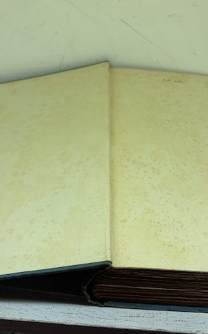 Behold this Dreamer – of Reverie, Night, Sleep, Dream, …