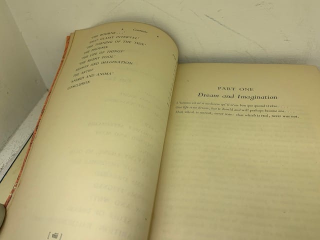 Behold this Dreamer - of Reverie, Night, Sleep, Dream, ... - Image 6