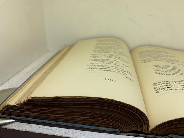 Behold this Dreamer - of Reverie, Night, Sleep, Dream, ... - Image 8