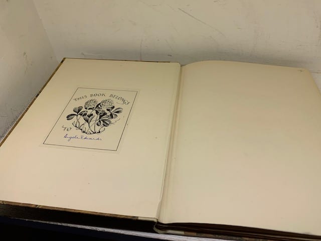 The Testament of Beauty, a poem in four books - Image 2