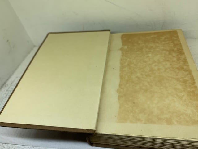 The Missing Masterpiece, a novel - Image 2