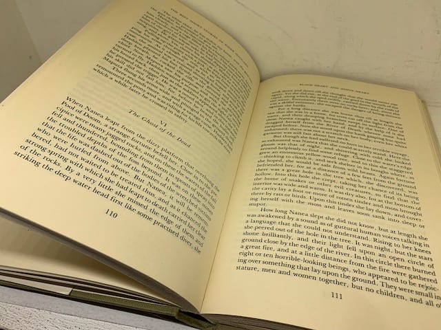 The Best Short Stories of Rider Haggard - Image 3