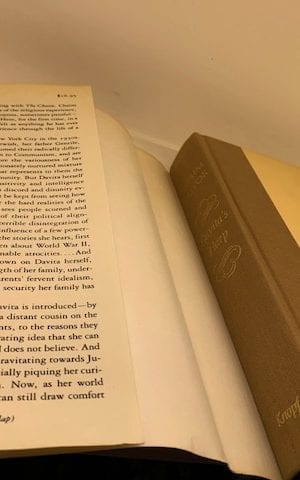 Davita’s Harp, a novel