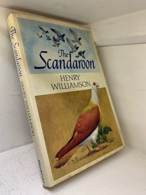 The Scandaroon