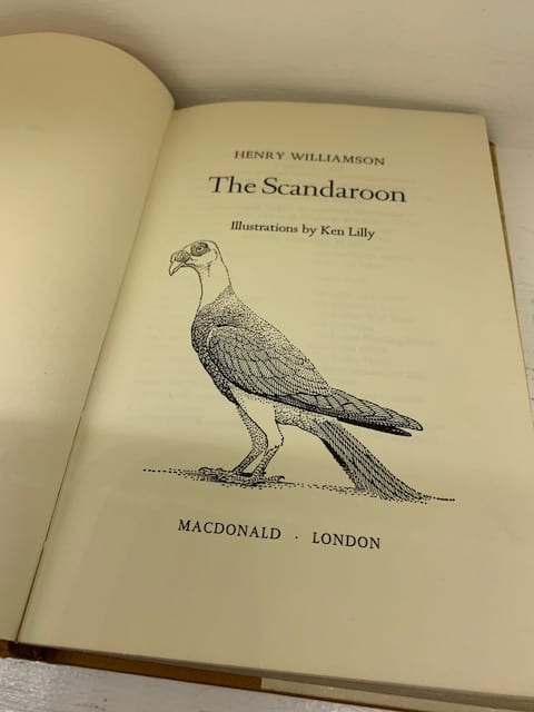 The Scandaroon - Image 8