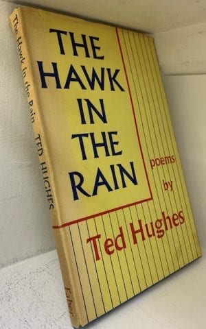 The Hawk in the Rain