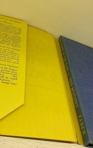 The Hawk in the Rain