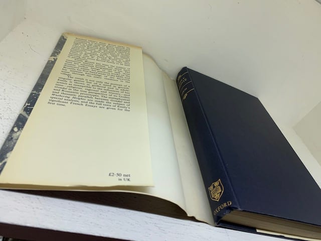 Emily Bronte, a biography - Image 6