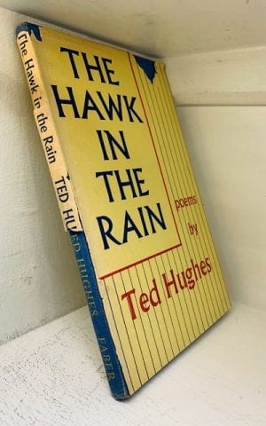The Hawk in the Rain