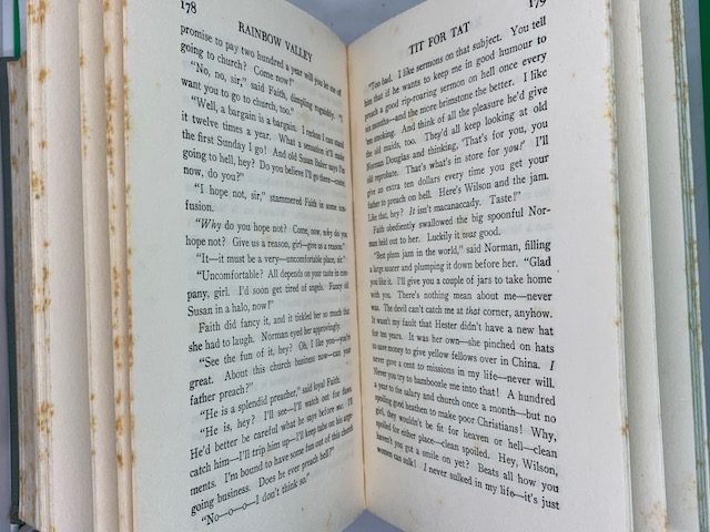 Rainbow Valley (Anne of Green Gables 7) - Image 3