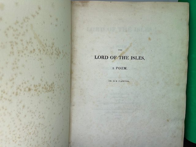 The Lord of the Isles, a poem - Image 2