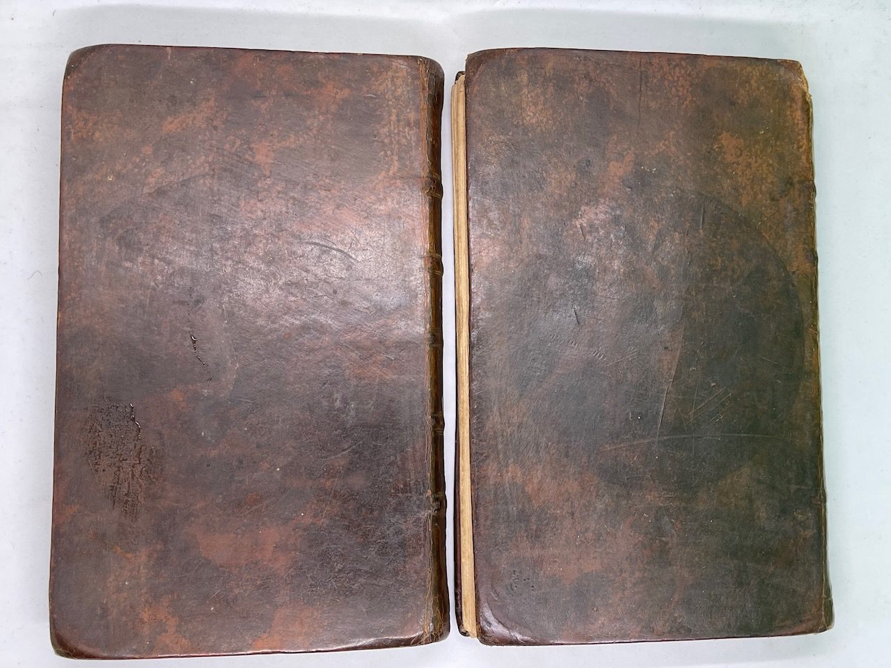 The Vicar Of Wakefield: A tale (in 2 vols) - Image 2