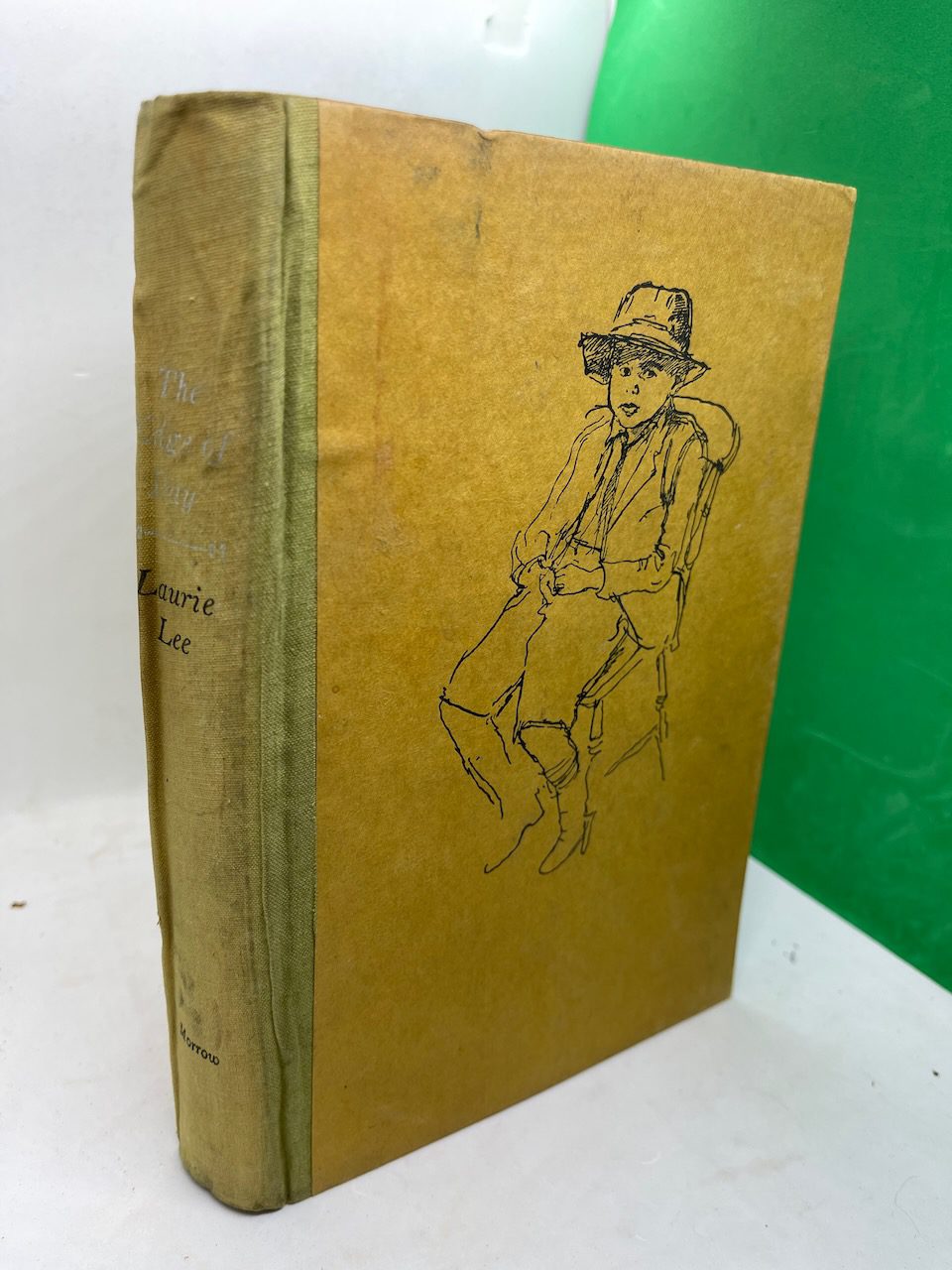 The Edge of Day: a boyhood in the West of England