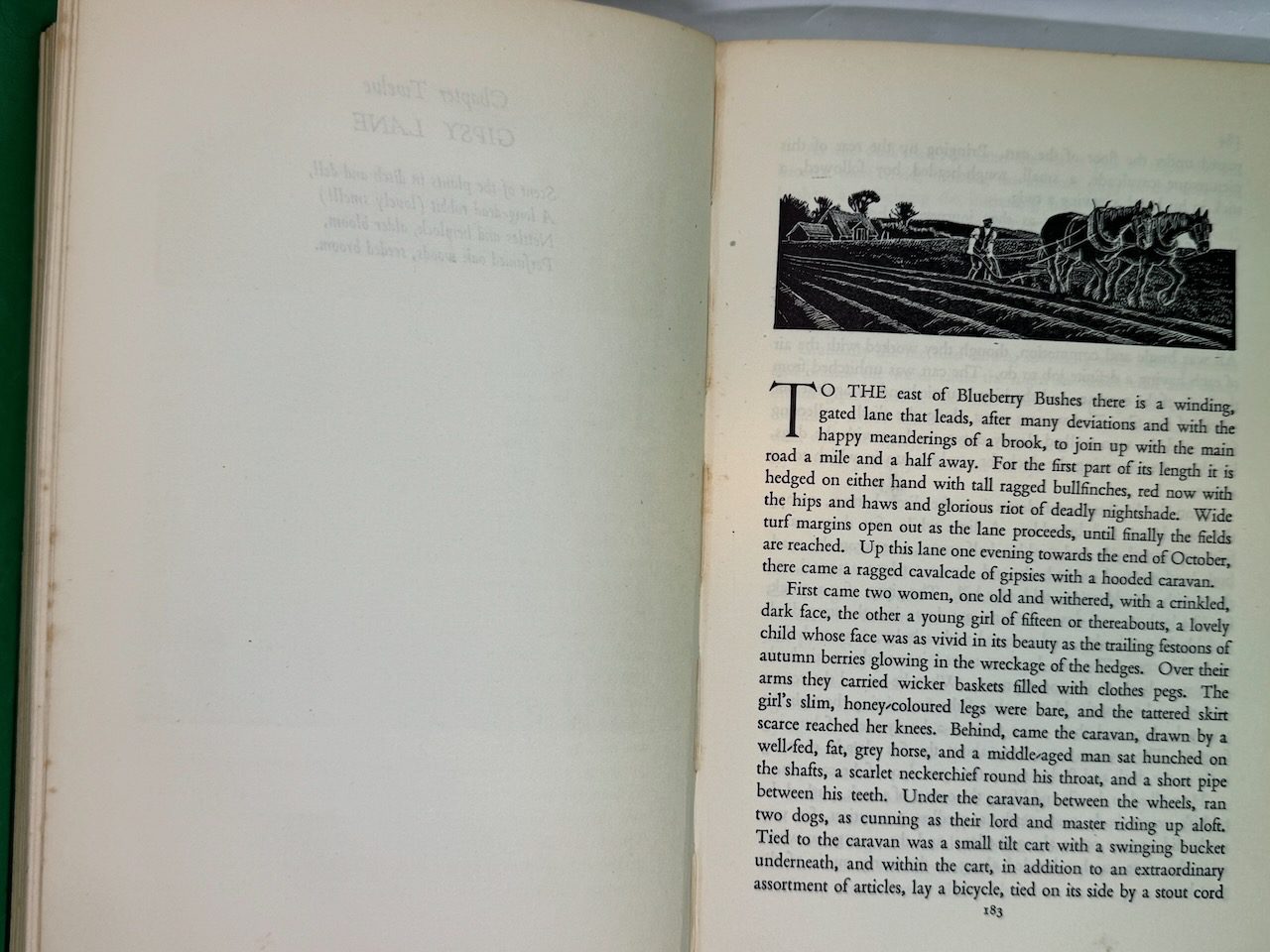 Wild Lone: the story of a Pytchley Fox - Image 10