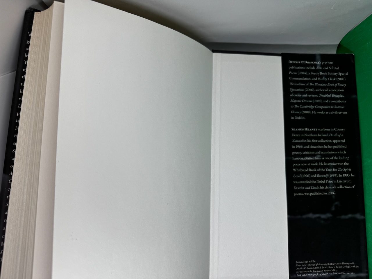 Stepping Stones: Interviews with Seamus Heaney - Image 11