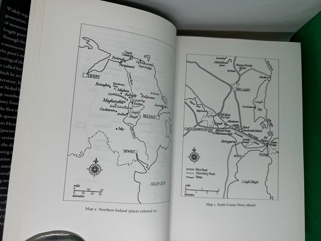 Stepping Stones: Interviews with Seamus Heaney - Image 6