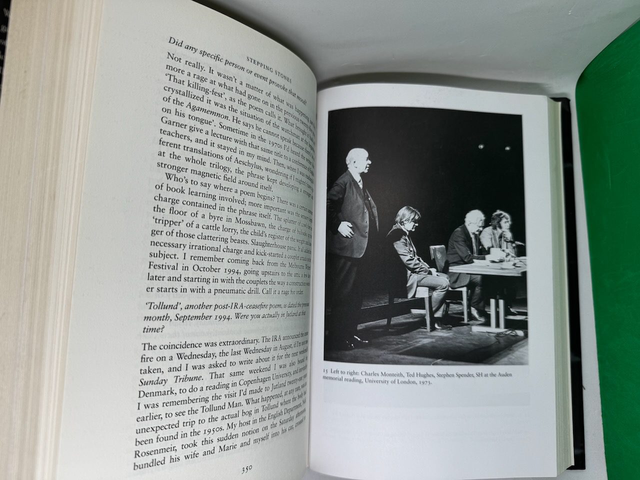 Stepping Stones: Interviews with Seamus Heaney - Image 8