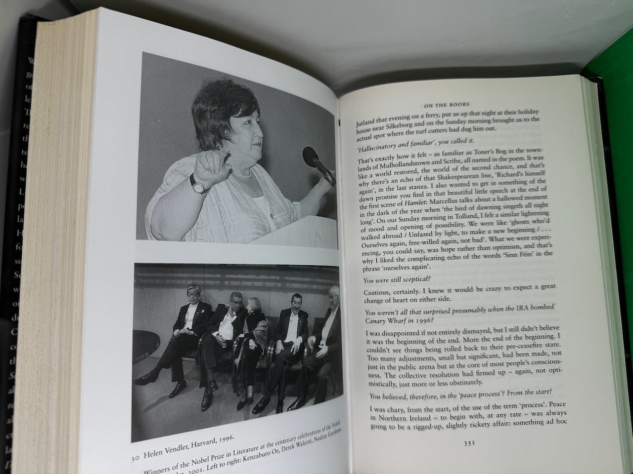 Stepping Stones: Interviews with Seamus Heaney - Image 10