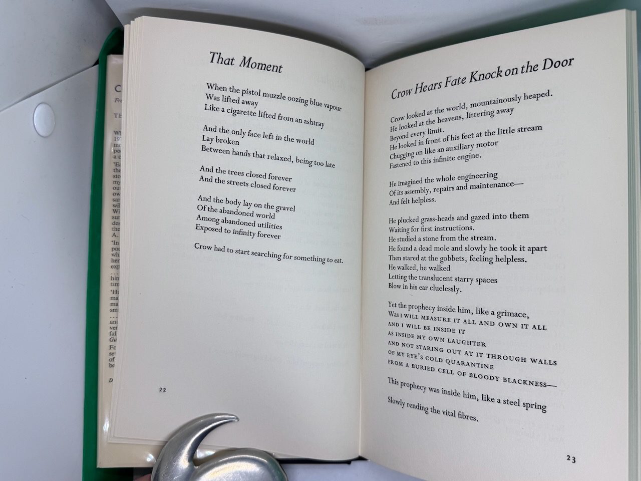 Crow: from the life and songs of the Crow - Image 6