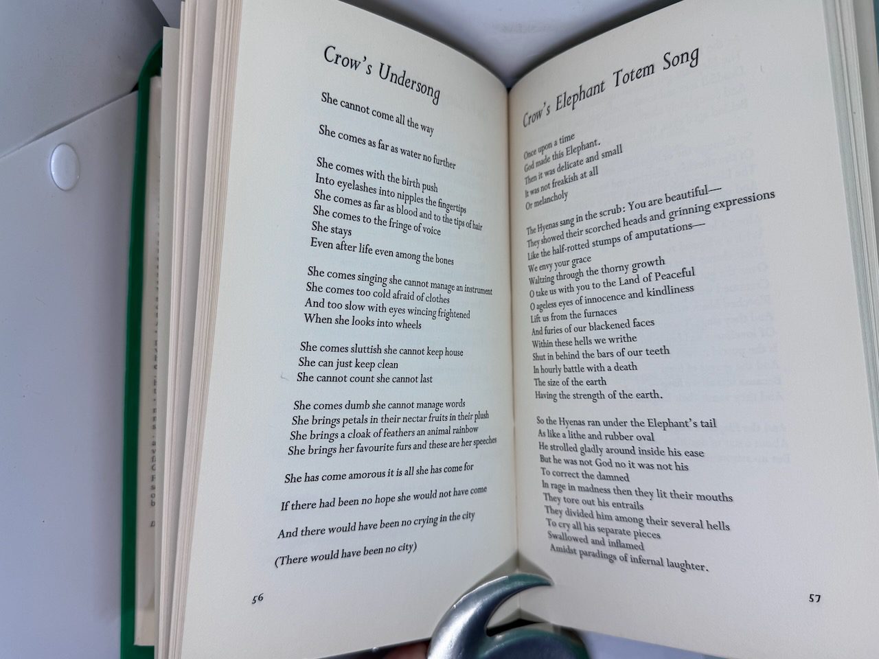 Crow: from the life and songs of the Crow - Image 7