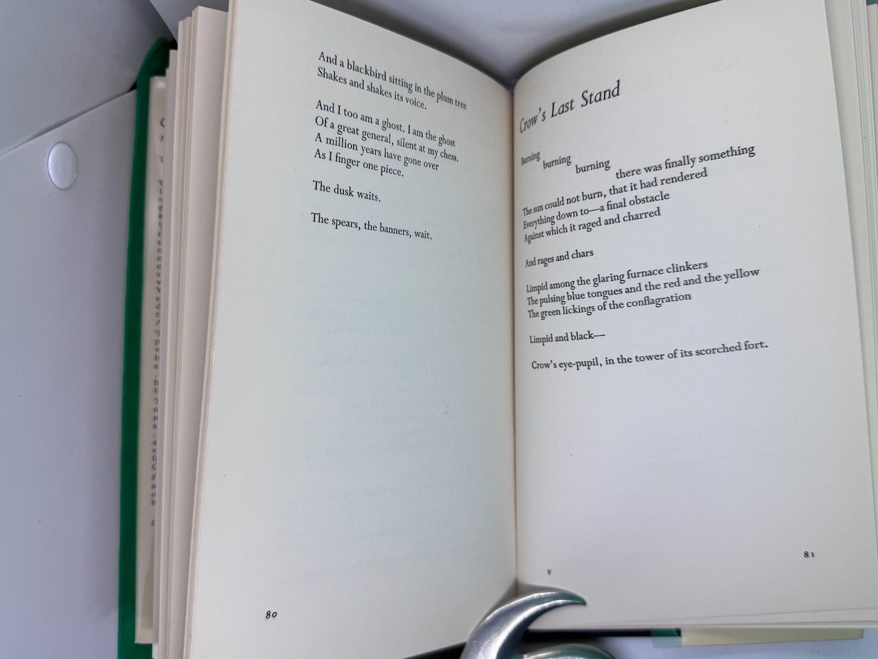 Crow: from the life and songs of the Crow - Image 8