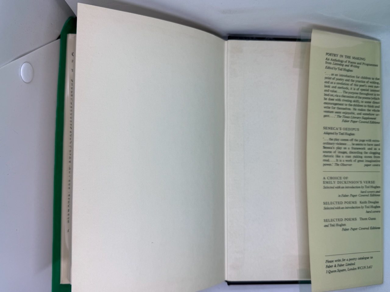 Crow: from the life and songs of the Crow - Image 9