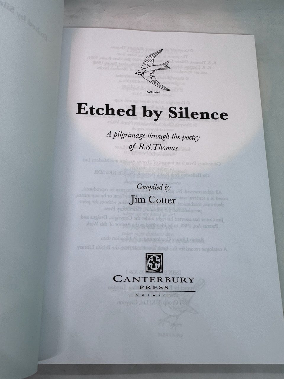 Etched by Silence: a pilgrimage through the poetry of R.S. Thomas - Image 2