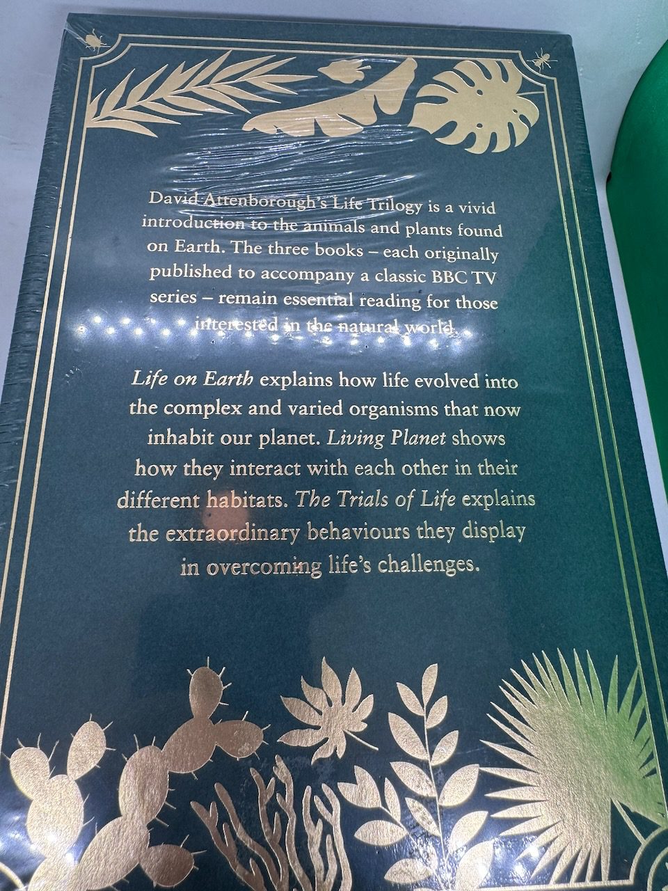 The Life Trilogy: 3 volume set in slipcase (SIGNED) - Image 4