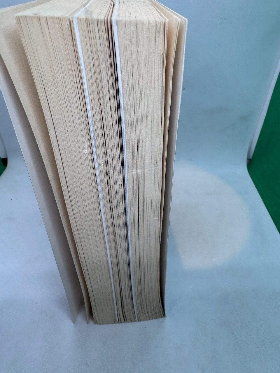 Former People: The Final Days of the Russian Aristocracy - Image 5