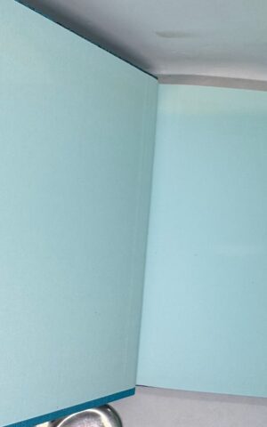 The Unbearable Bassington (FOLIO)