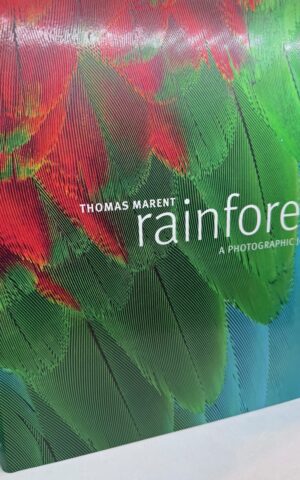 Rainforest: A Photographic Journey