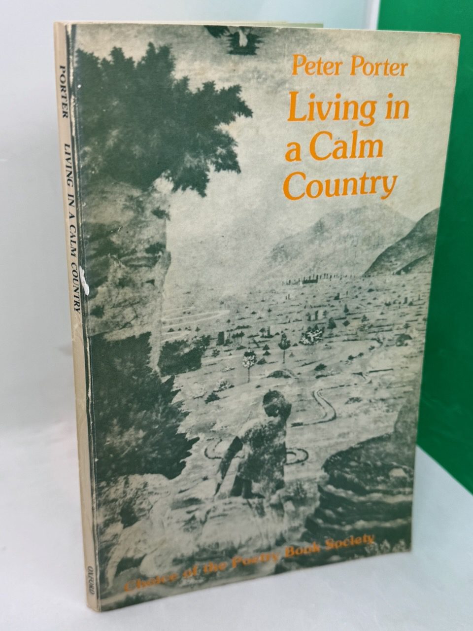 Living in a Calm Country (SIGNED) - Image 2