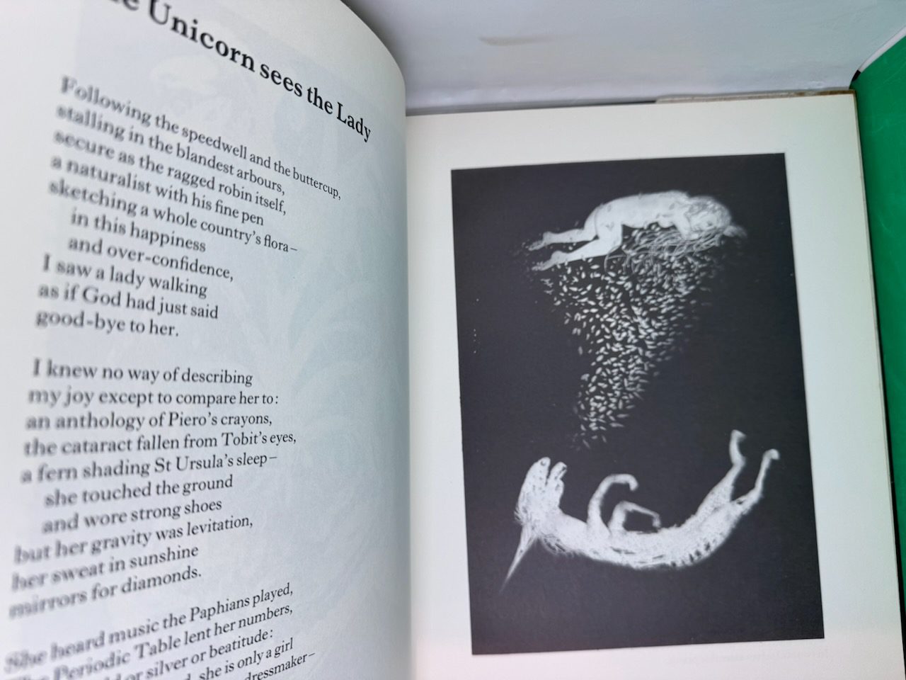 The Lady and the Unicorn (SIGNED) - Image 11