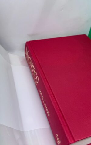 Magnifico: The Brilliant Life and Violent Times of Lorenzo De’Medici