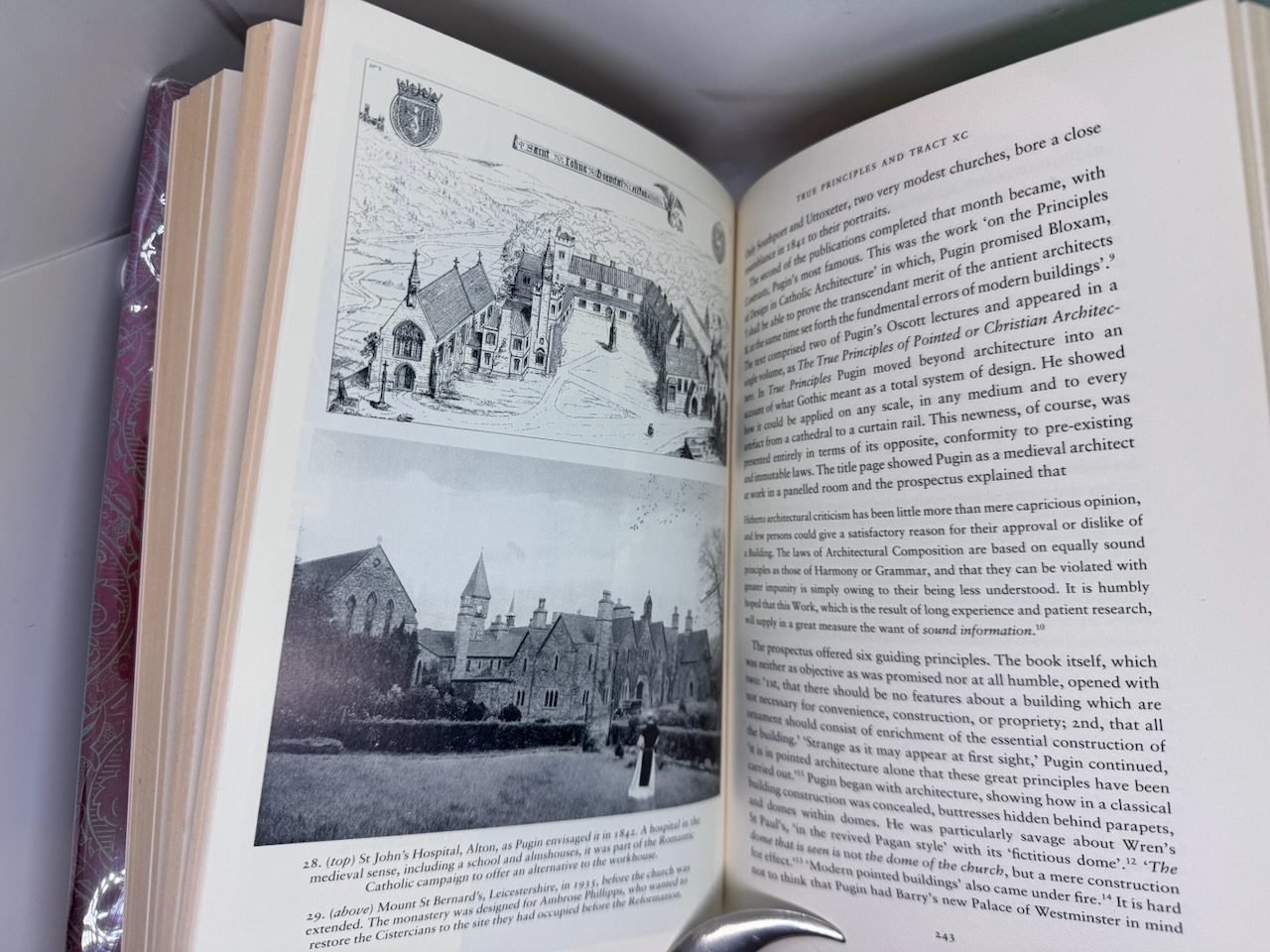 God's Architect: Pugin and the Building of Romantic Britain - Image 7