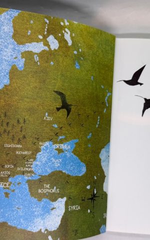 Orison for a Curlew: In Search of a Bird on the Edge of Extinction